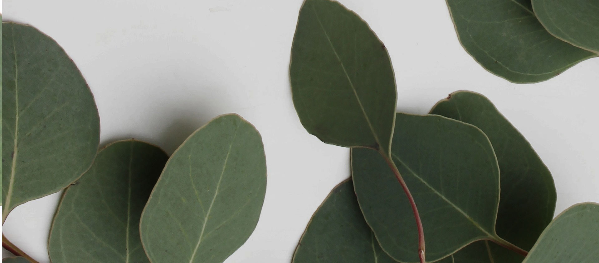 Взыскание ущерба от экологических правонарушений в Александрове