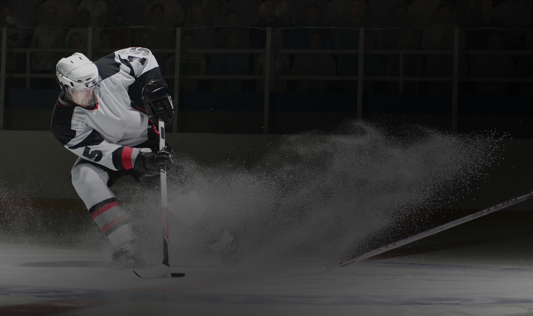 Услуги спортивного юриста в Александрове