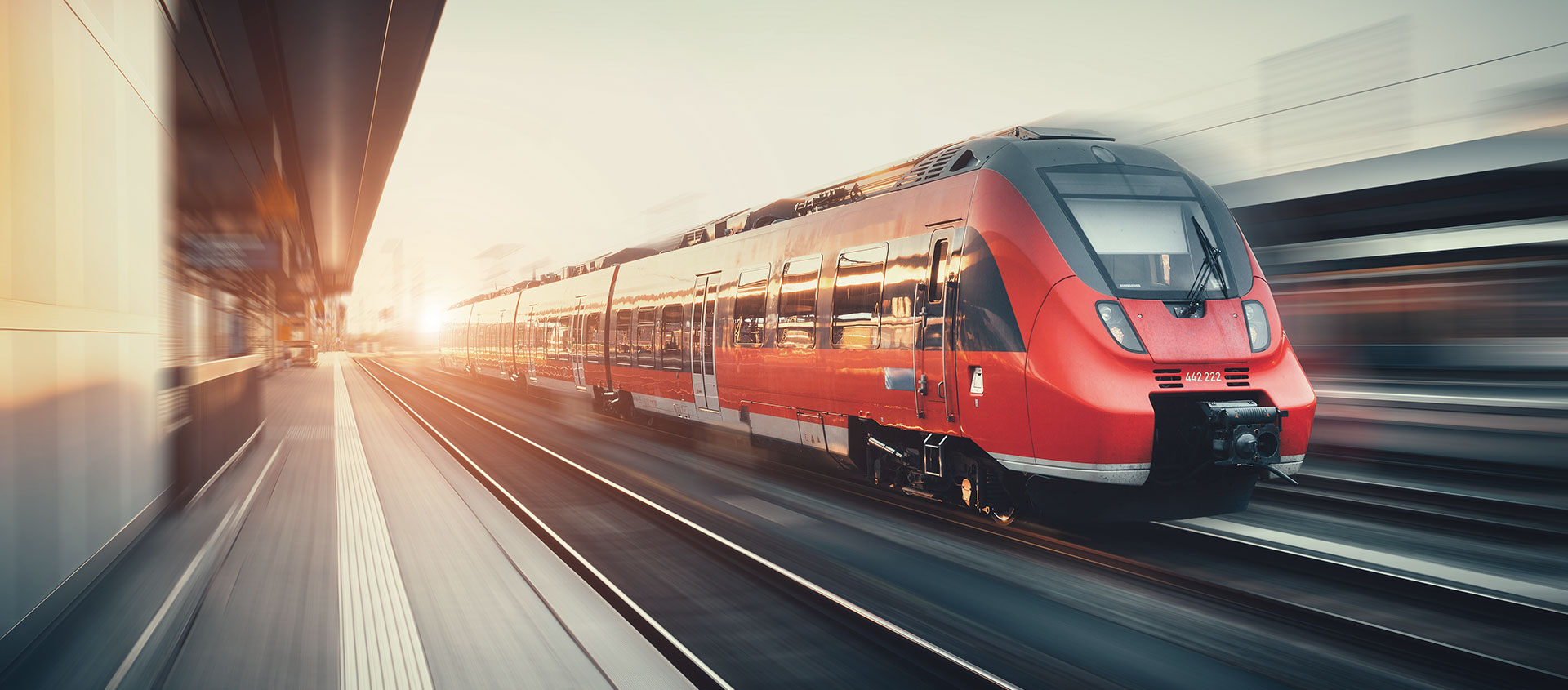 Услуги таможенного юриста в Александрове